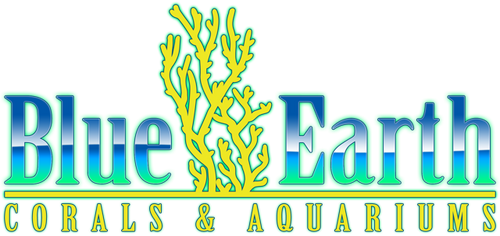 Blue Earth Corals